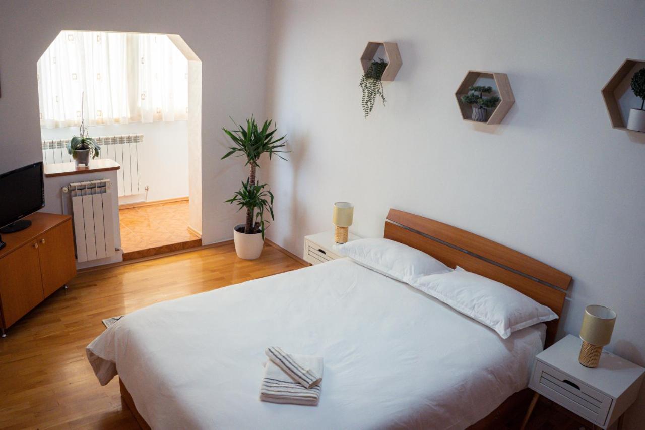 Apartament Milcov 古拉哈莫卢洛伊 外观 照片