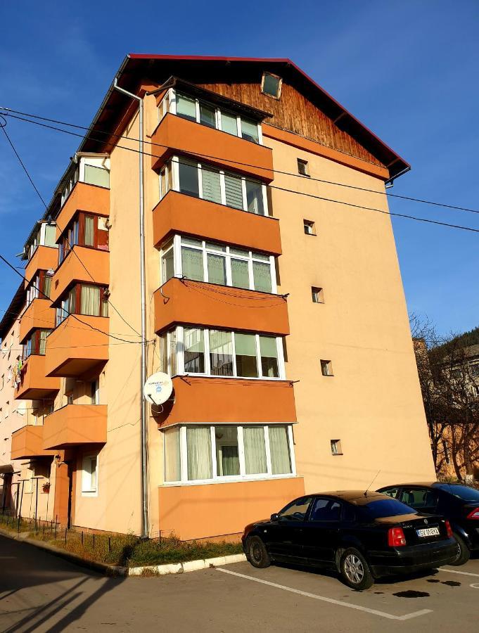 Apartament Milcov 古拉哈莫卢洛伊 外观 照片